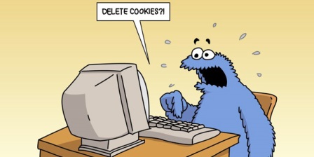 PTN internet cookie